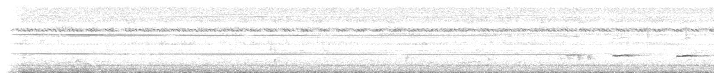 Plaintive Cuckoo - ML247528501