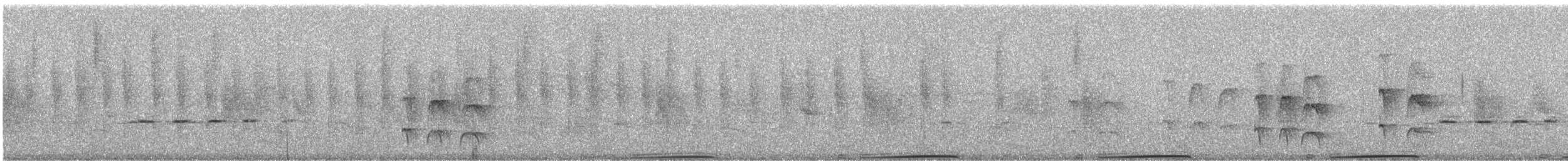 holub pruhoocasý [skupina albilinea] - ML247533