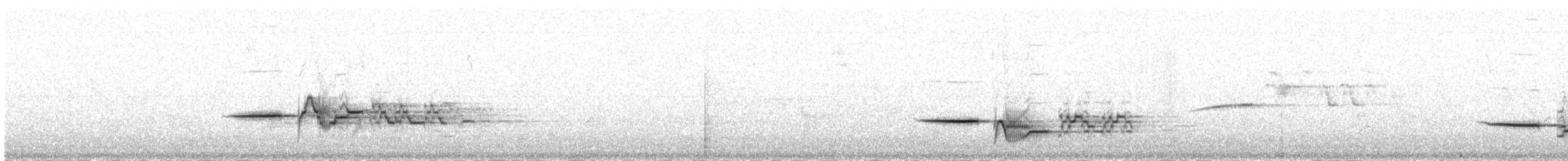 Münzevi Bülbül Ardıcı [auduboni grubu] - ML247554311