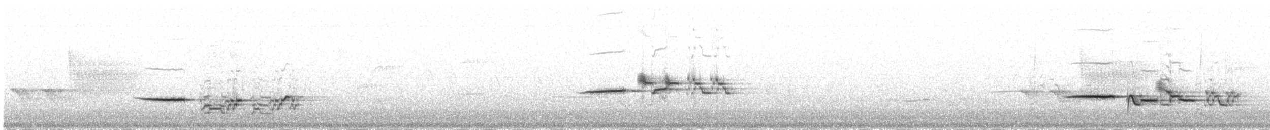 Дрізд-короткодзьоб плямистоволий [група auduboni] - ML247555181