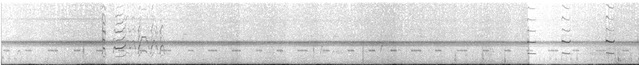 Kara Karınlı Islıkçı Ördek - ML247570271