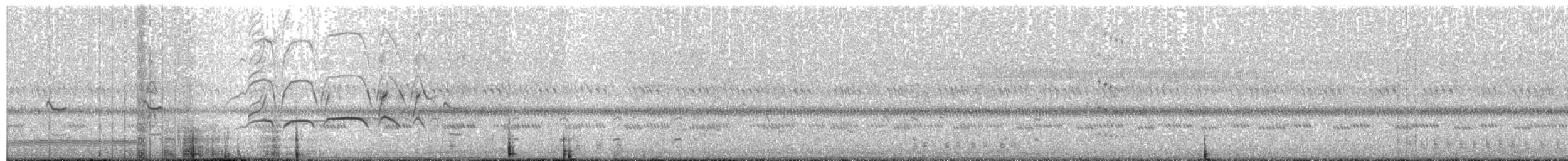 Kara Karınlı Islıkçı Ördek - ML247570341
