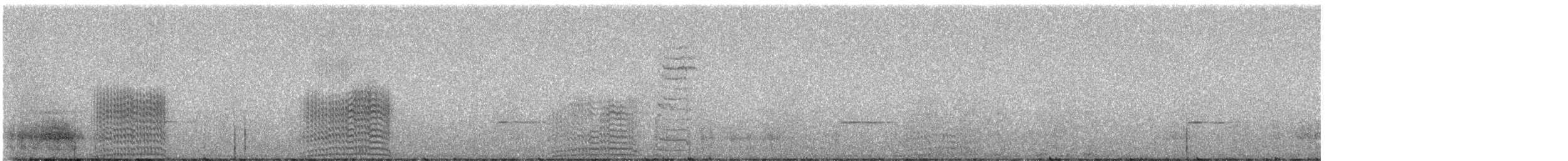 holub pruhoocasý [skupina albilinea] - ML247590