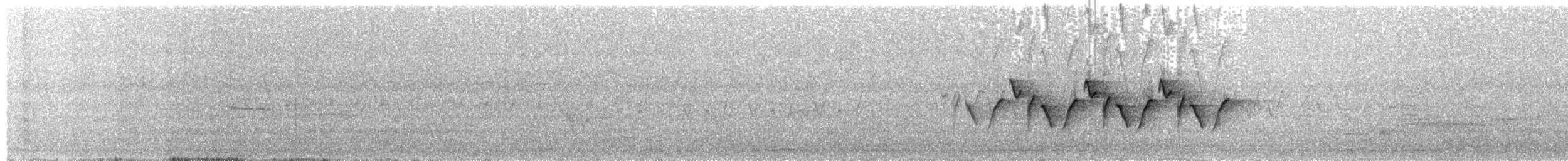 Common Yellowthroat - ML247611971
