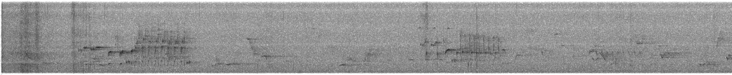 Troglodyte des marais - ML247644991
