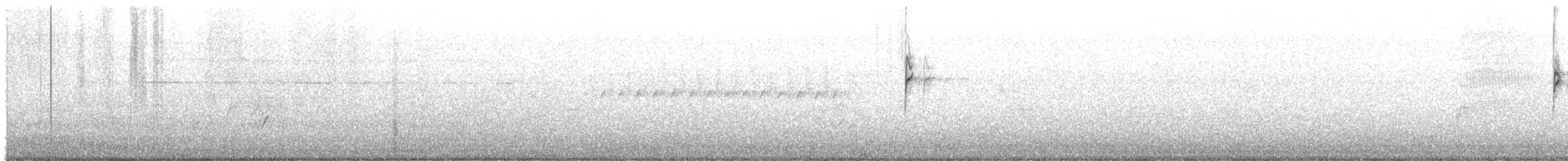 Bruant à couronne blanche (nuttalli) - ML247671131
