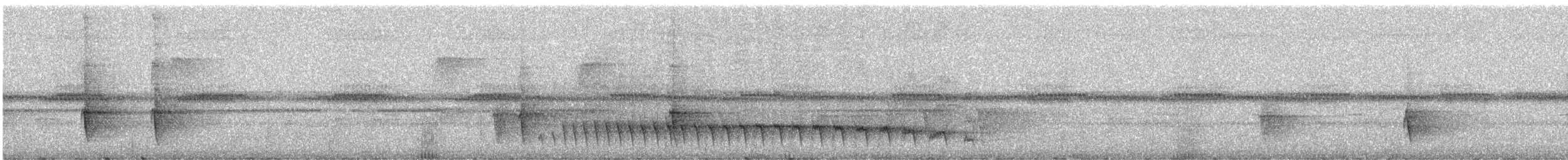 コオニキバシリ（meruloides グループ） - ML247687