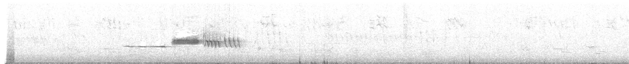 Bruant à couronne blanche (nuttalli) - ML247723141
