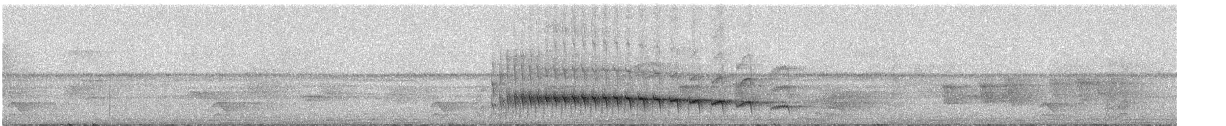 コオニキバシリ（meruloides グループ） - ML247730