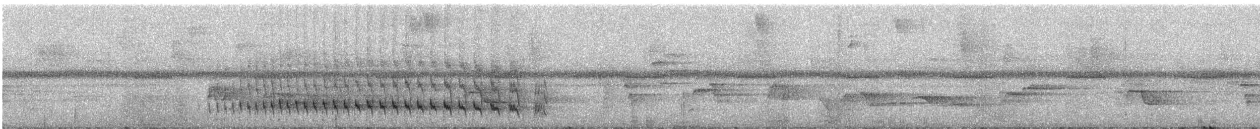 コオニキバシリ（meruloides グループ） - ML247731