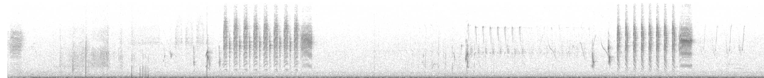 Troglodyte des marais - ML247736601