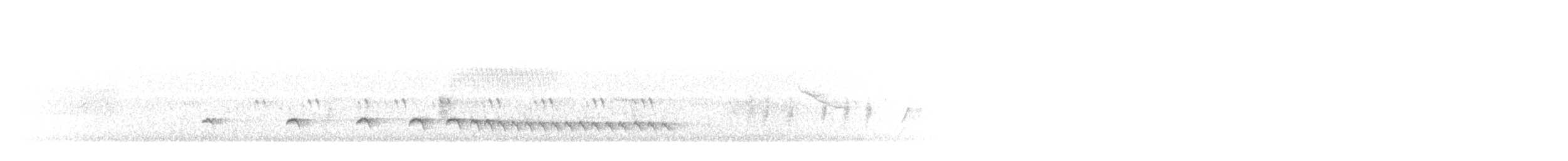 Chaparralgrasmücke - ML247763071