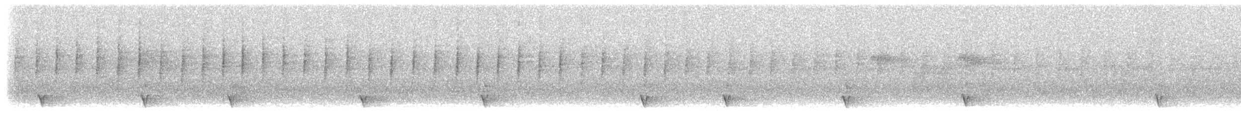Sahul Cicadabird - ML24778491