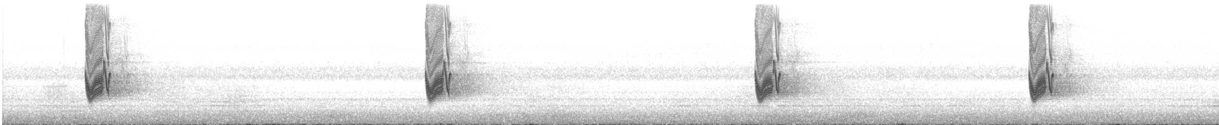 Savan Çobanaldatanı - ML24781301
