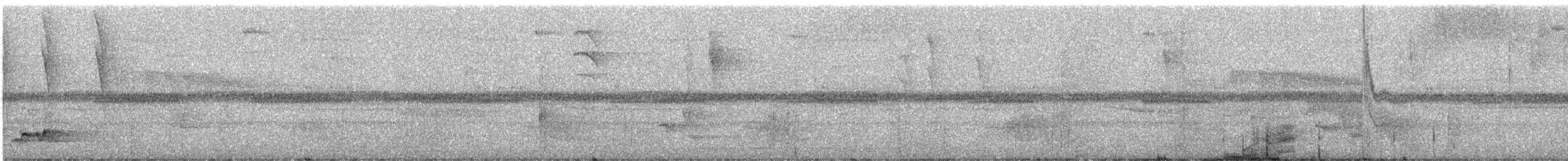 Troglodyte à poitrine grise (bangsi) - ML247831