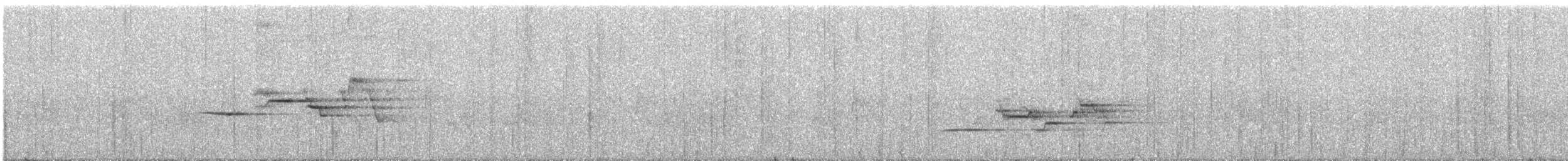 Hermit Thrush - ML247868861