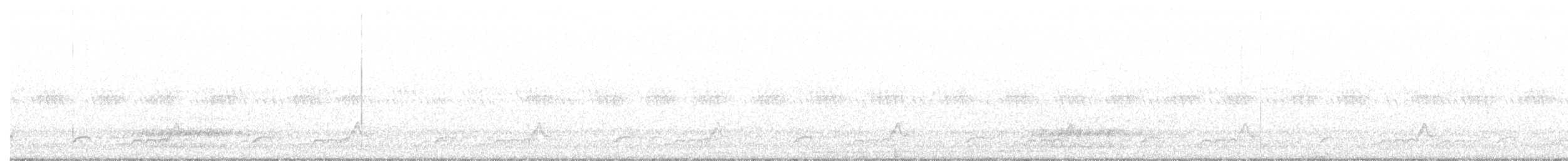 Schwarzkehl-Nachtschwalbe - ML247873121