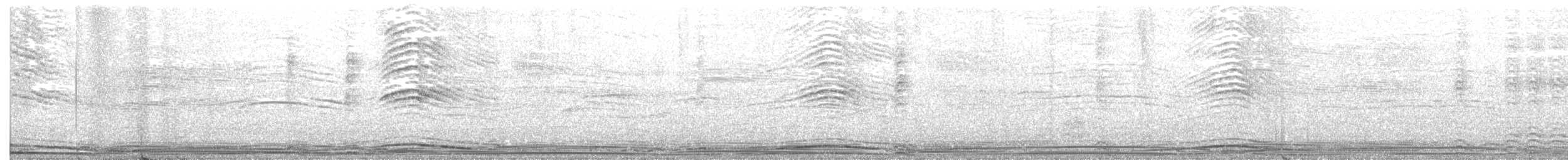 Wedge-tailed Shearwater - ML247884701