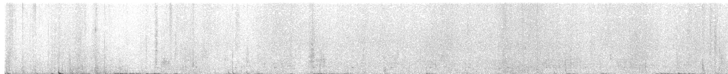 Rufous Scrub-bird - ML247885961