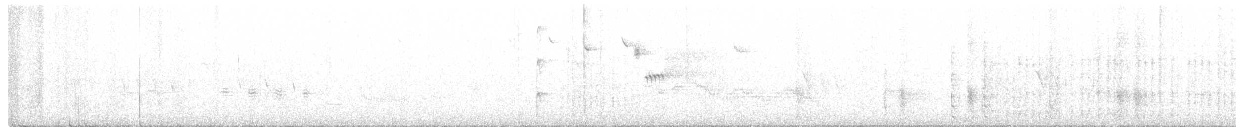 strakapoud americký - ML247887911