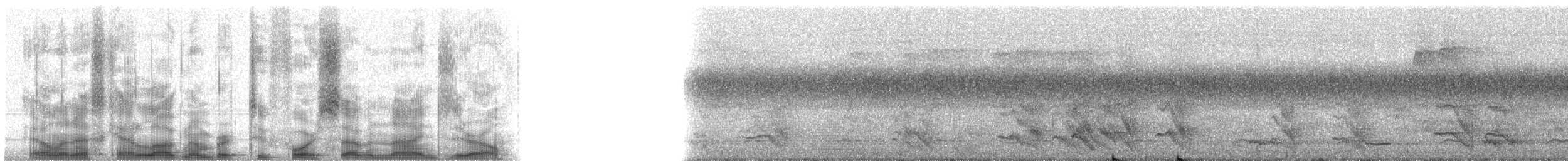 Turuncu Gagalı Yedikardeş - ML24790