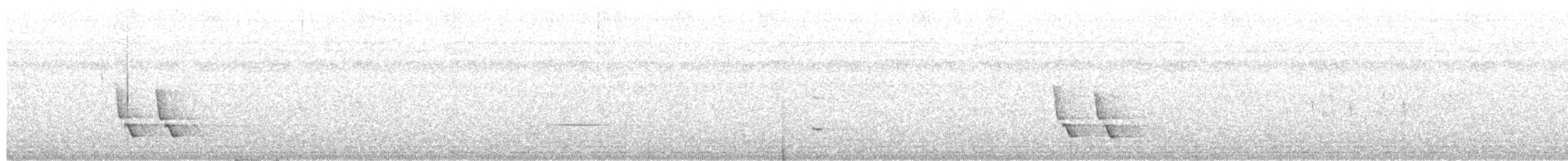 Buff-breasted Wren - ML24792161