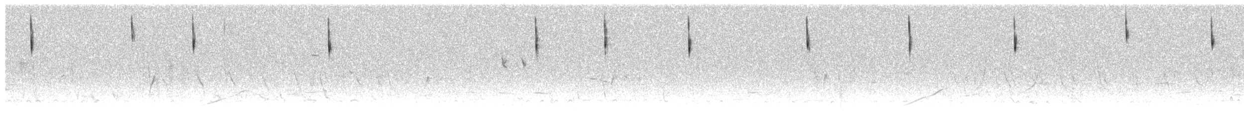 Savannah Serçesi (rostratus/atratus) - ML247928891