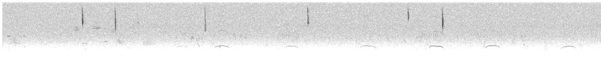 strnadec luční (ssp. rostratus/atratus) - ML247928921