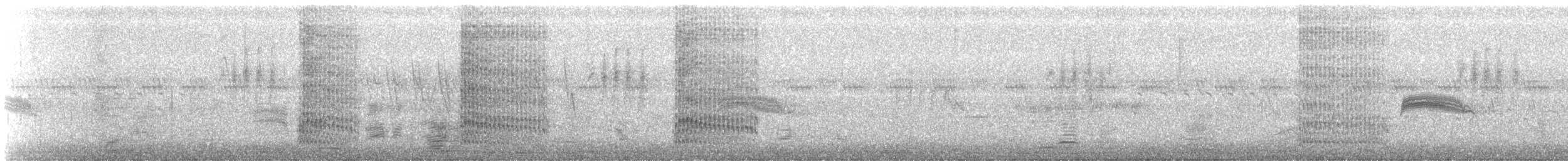 Дятел-смоктун сосновий - ML247936561