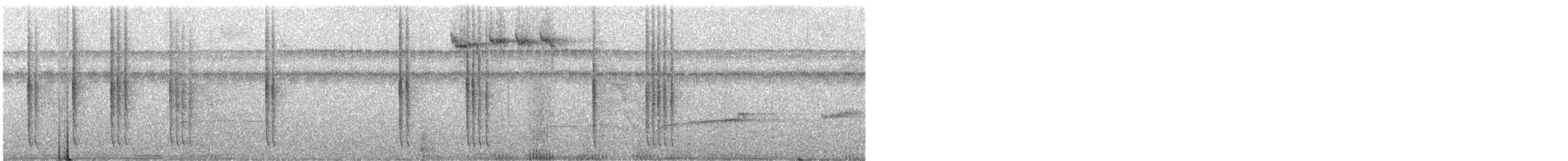 Ariane à ventre gris (groupe tzacatl) - ML247948