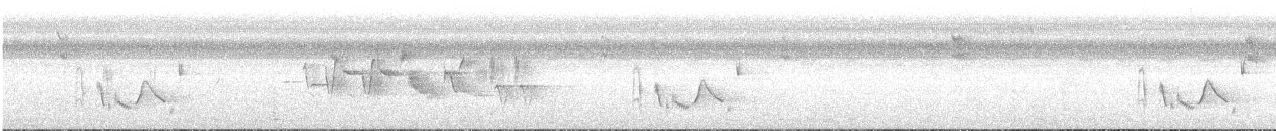 White-eyed Vireo - ML247948291