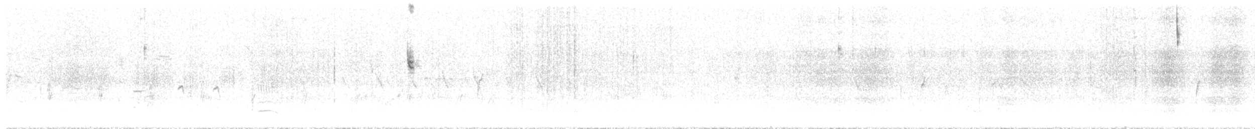 Savannah Serçesi (rostratus/atratus) - ML247959051