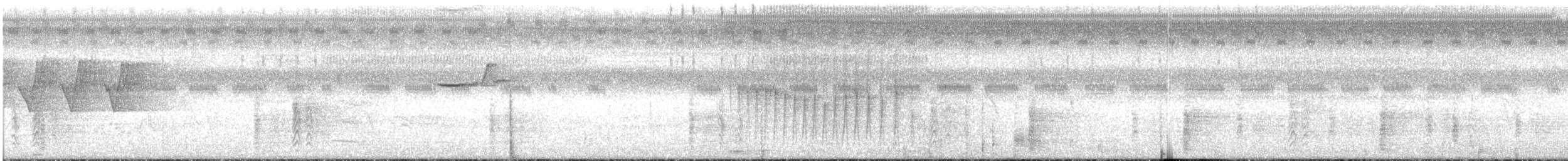 Common Grackle - ML247972221