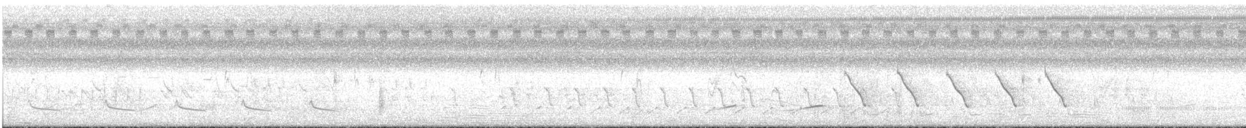 Anhinga - ML247973221