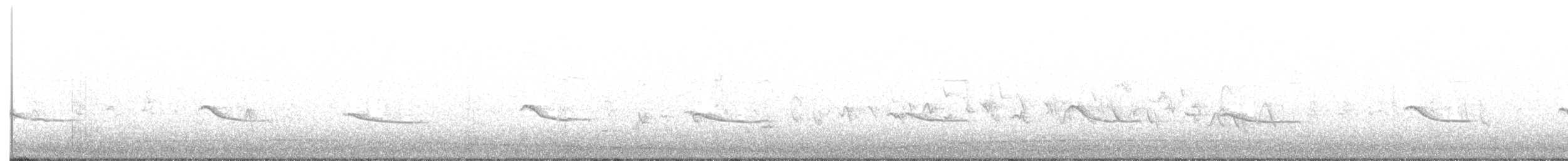 Say's Phoebe - ML247992611