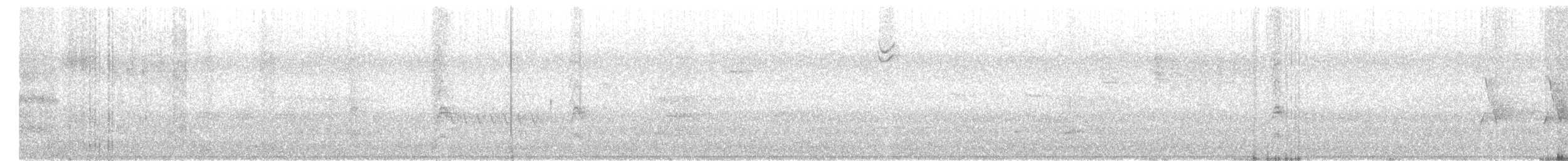 Singammer (montana/merrilli) - ML248009631