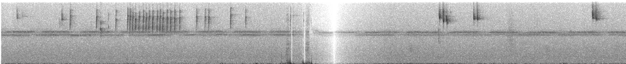 Ak Kanatlı Piranga - ML248022