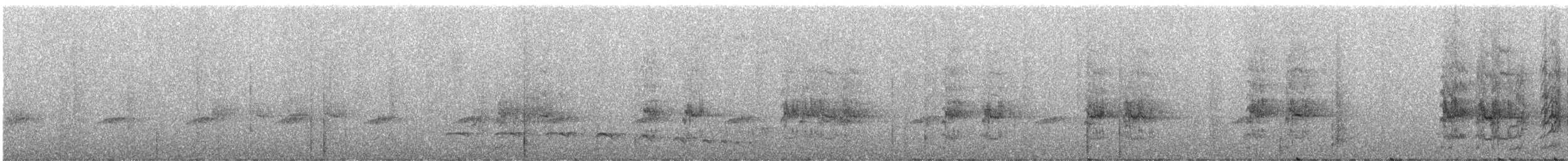 Spot-winged Parrotlet - ML248030