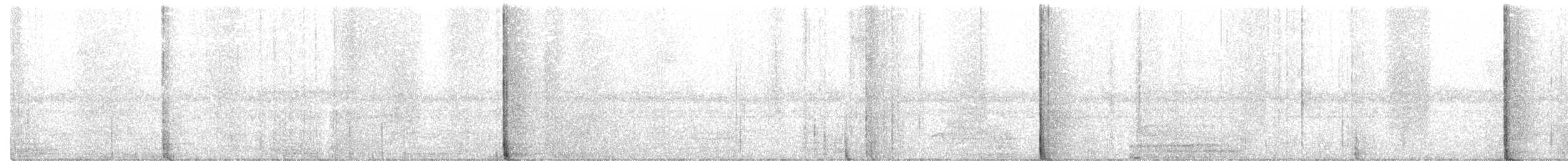 Lesser Woodcreeper - ML248054541