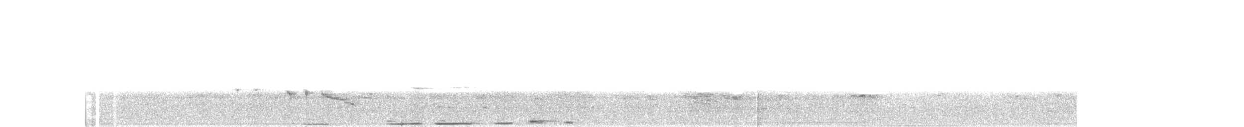 White-striped Warbler - ML248054721