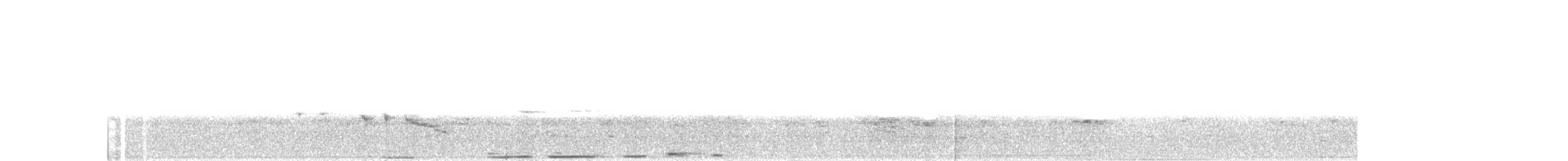 White-striped Warbler - ML248054721