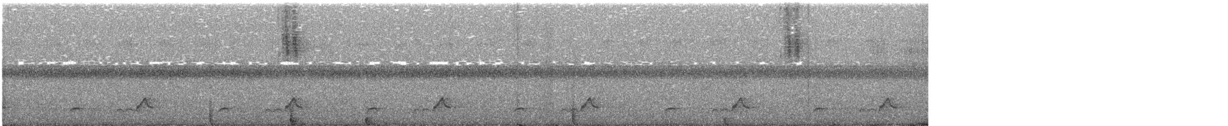 Schwarzkehl-Nachtschwalbe - ML248078971