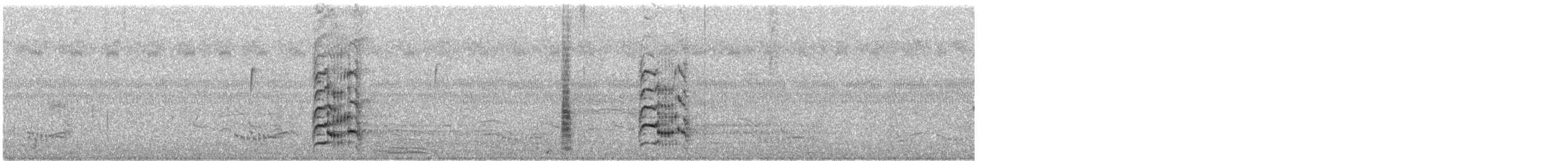 Royal Tern - ML248108071
