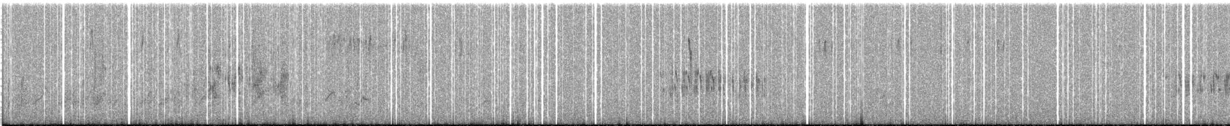 Золотопоясничный зерноед - ML248128