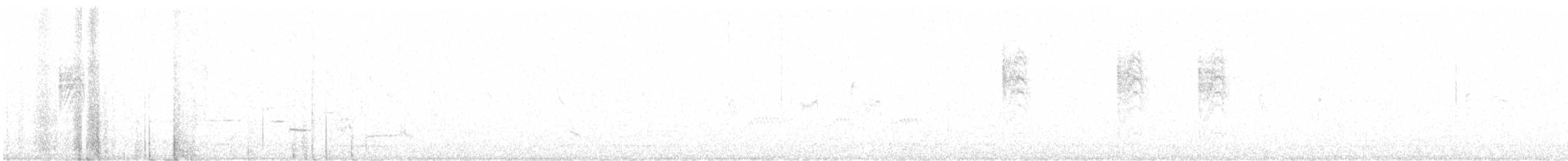leskot modrošedý [skupina obscura] - ML248132921