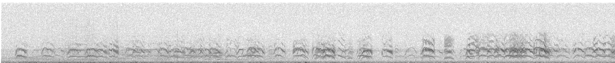 Loro Barranquero (andinus) - ML248134