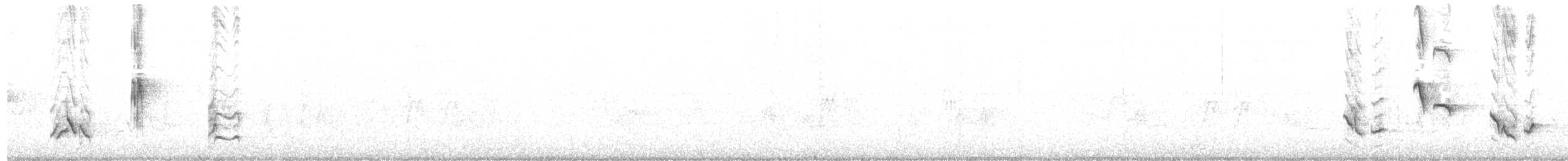 Miaulari grisa - ML248136211