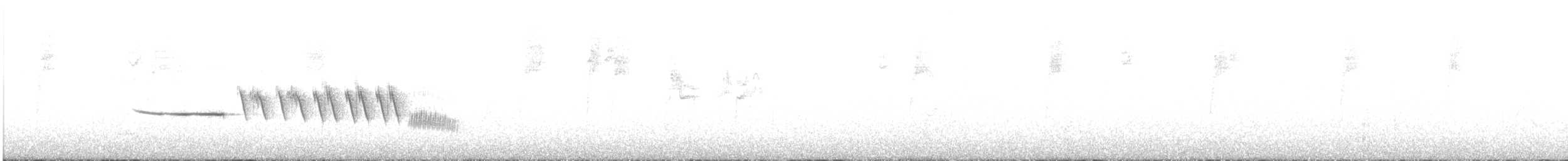 hvitkronespurv (nuttalli) - ML248171291