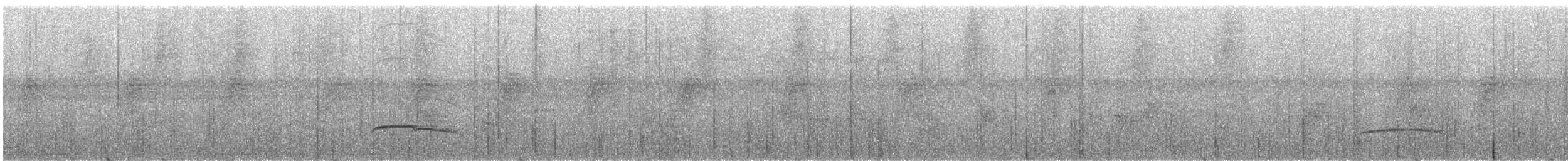 Copetón Capirotado (nigriceps/atriceps) - ML248181