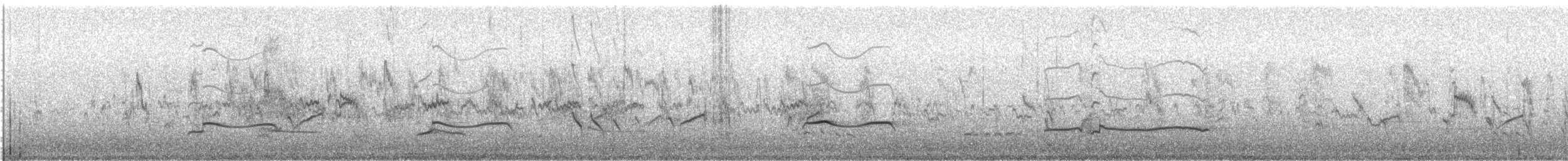 Charadriiformes, unbestimmt - ML248186941